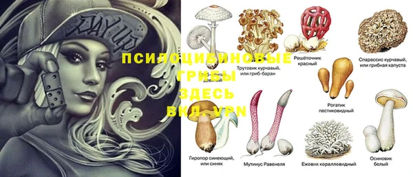 mix Нефтекумск